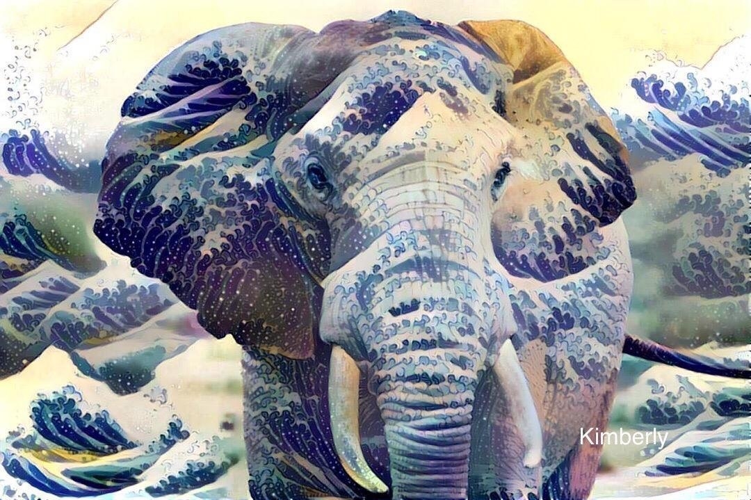 Elephant_0531