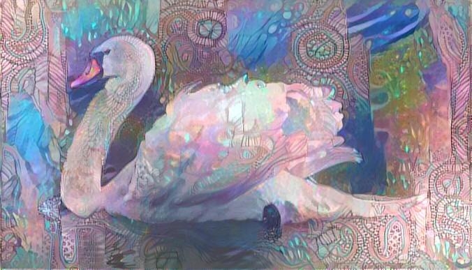 Swan_2456