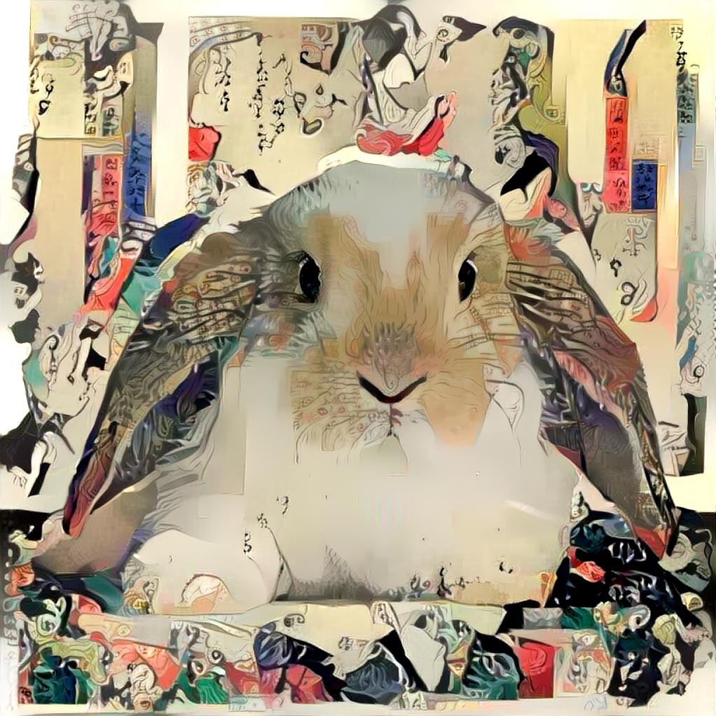 Rabbit_3504