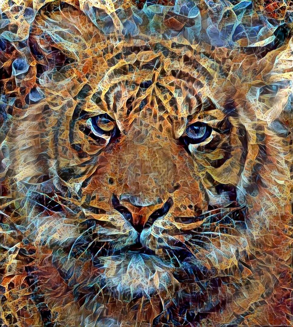 Tiger_3999