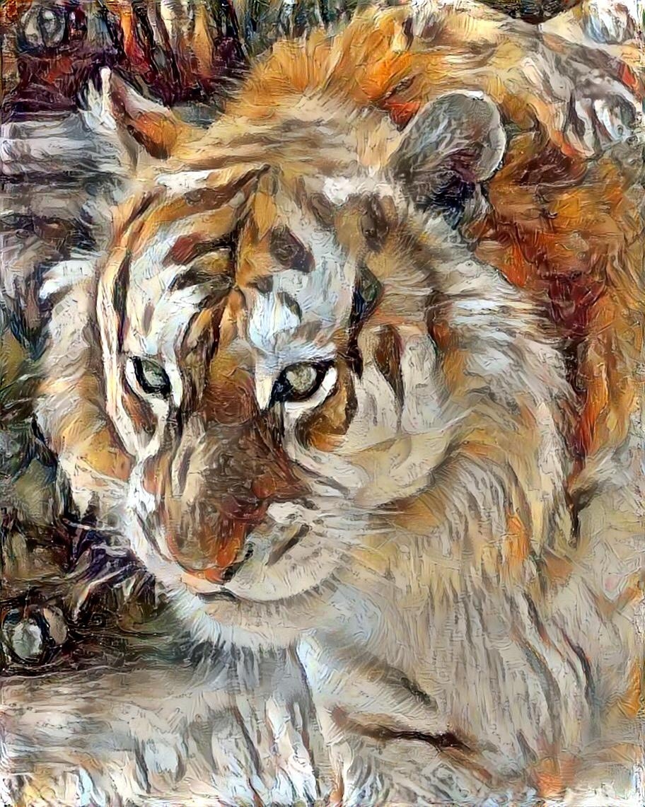 Tiger_4283