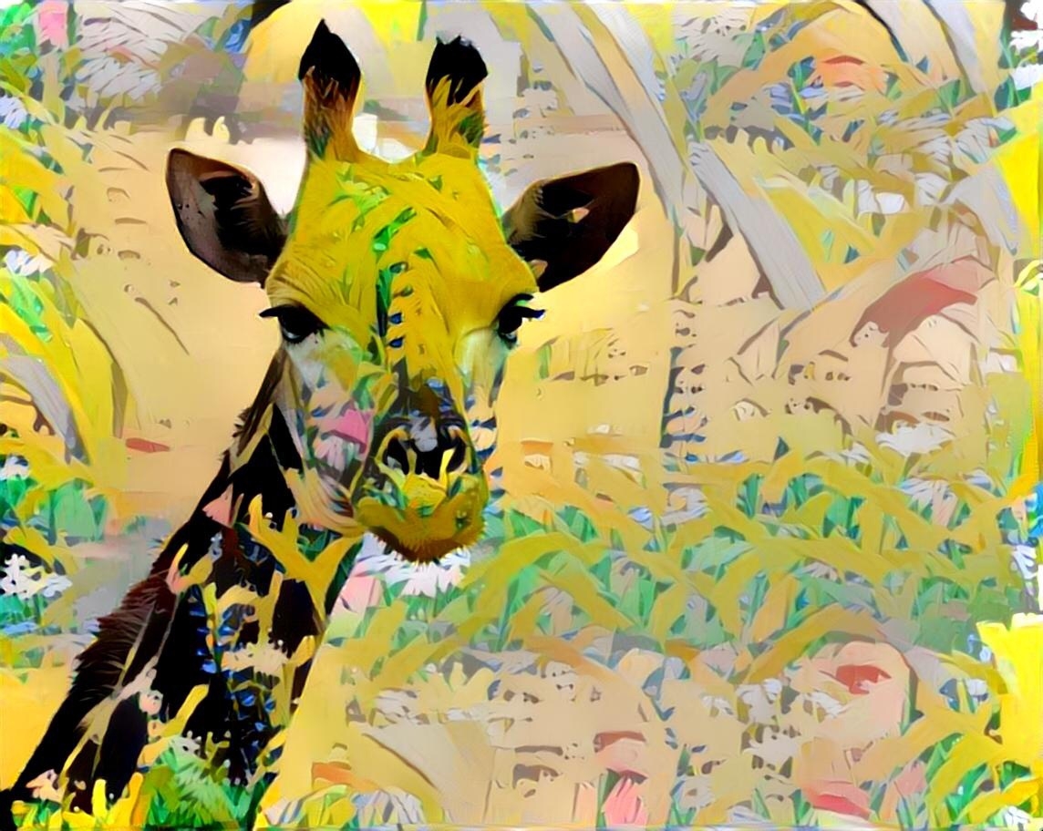 Giraffe _4350