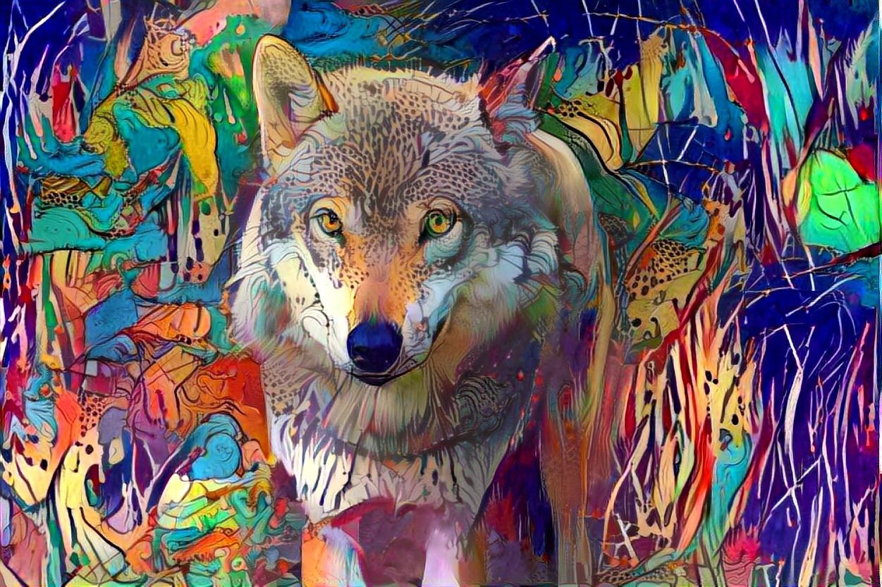 Wolf_4421