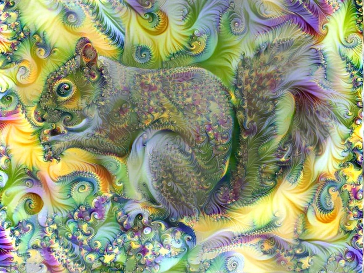 Squirrel _4443