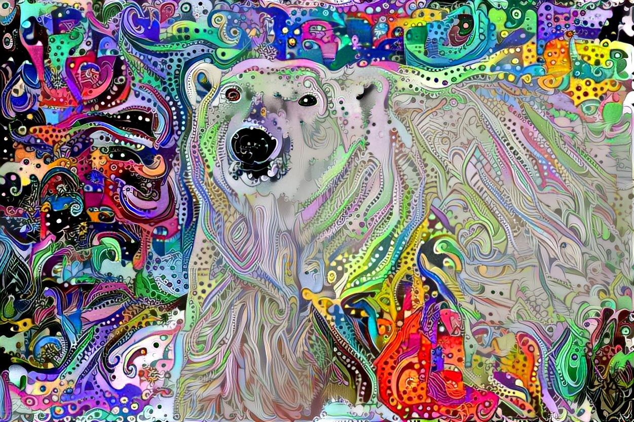 Polar Bear_4471