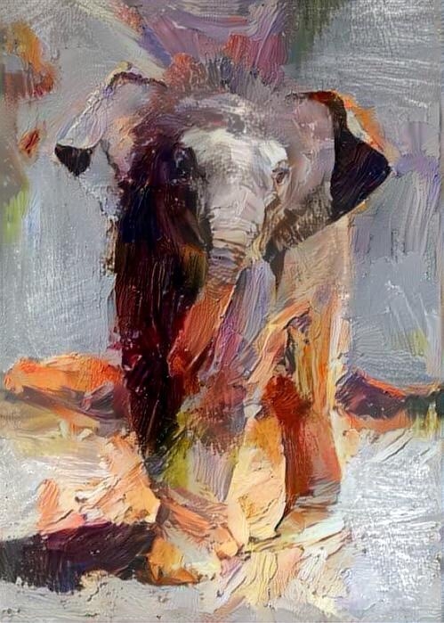 Elephant _4865