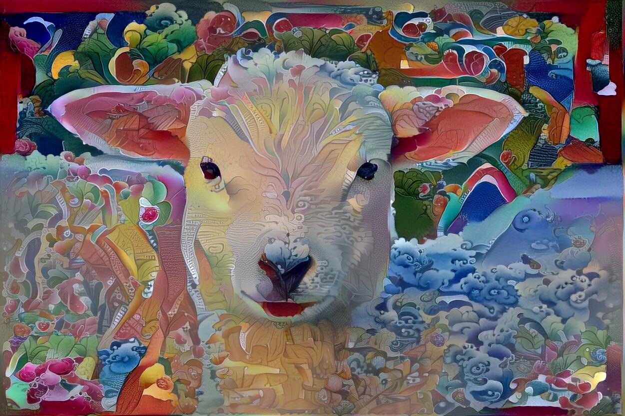 Sheep_4890