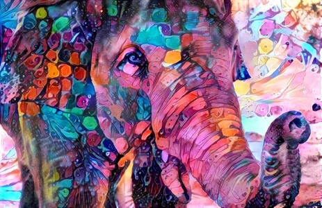 Elephant_5446