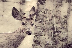 Deer_1212