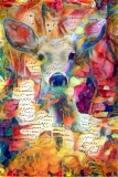 Deer_3520