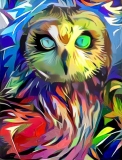Owl_3701