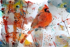 Bird, Cardinal_4017