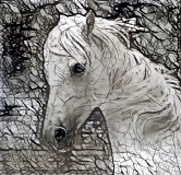 Horse_4063