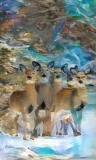 Deer_4399