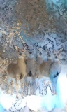 Deer_4404