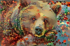 Bear_4431
