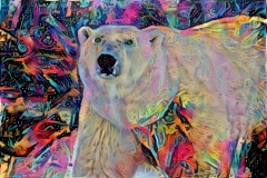 Polar Bear_4484