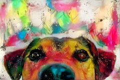 Dog_4645
