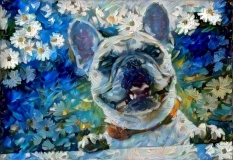 Dog_4647