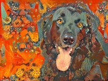 Dog_4648