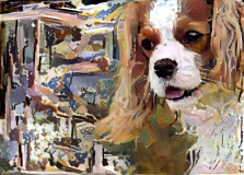 Dog_4649