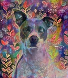 Dog_4650
