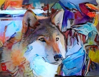 Dog_4652