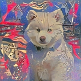 Dog_4661