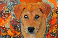 Dog_4667