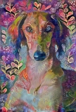 Dog_4670