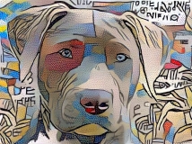 Dog_4676