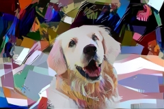 Dog_4686