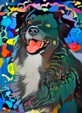 Dog_4692