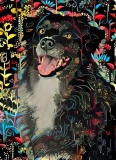 Dog_4694