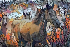 Horse_4893