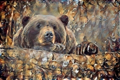 Bear_5116