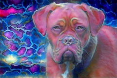 Dog_5165