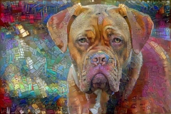 Dog_5166