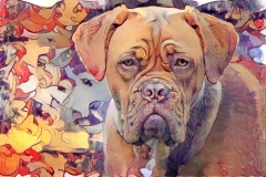 Dog_5167