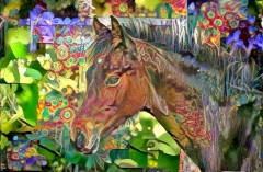 Horse_5305