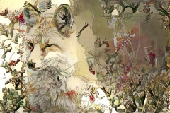 Coyote _5309