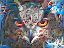 Owl_5326