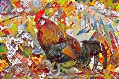 Chicken_5434