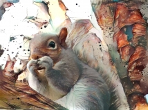 Squirrel _6342