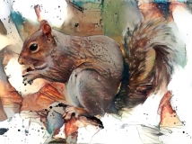 Squirrel _6354
