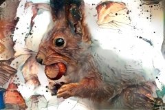 Squirrel _6365