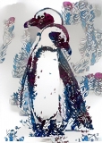 Penguins_6412