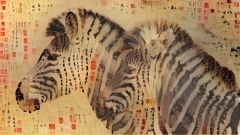 Zebras _6676