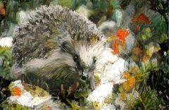 Hedgehog_5235